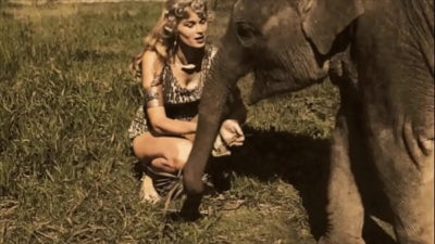 Vintage Beauty & The Beast